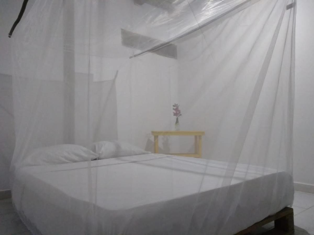 Hostel In 팔로미노 외부 사진